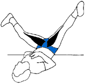 pubalgie y